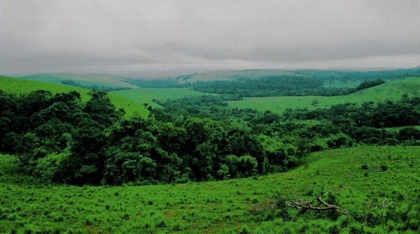 ដំណើរកំសាន្តតំបន់ព្រៃភ្នំ